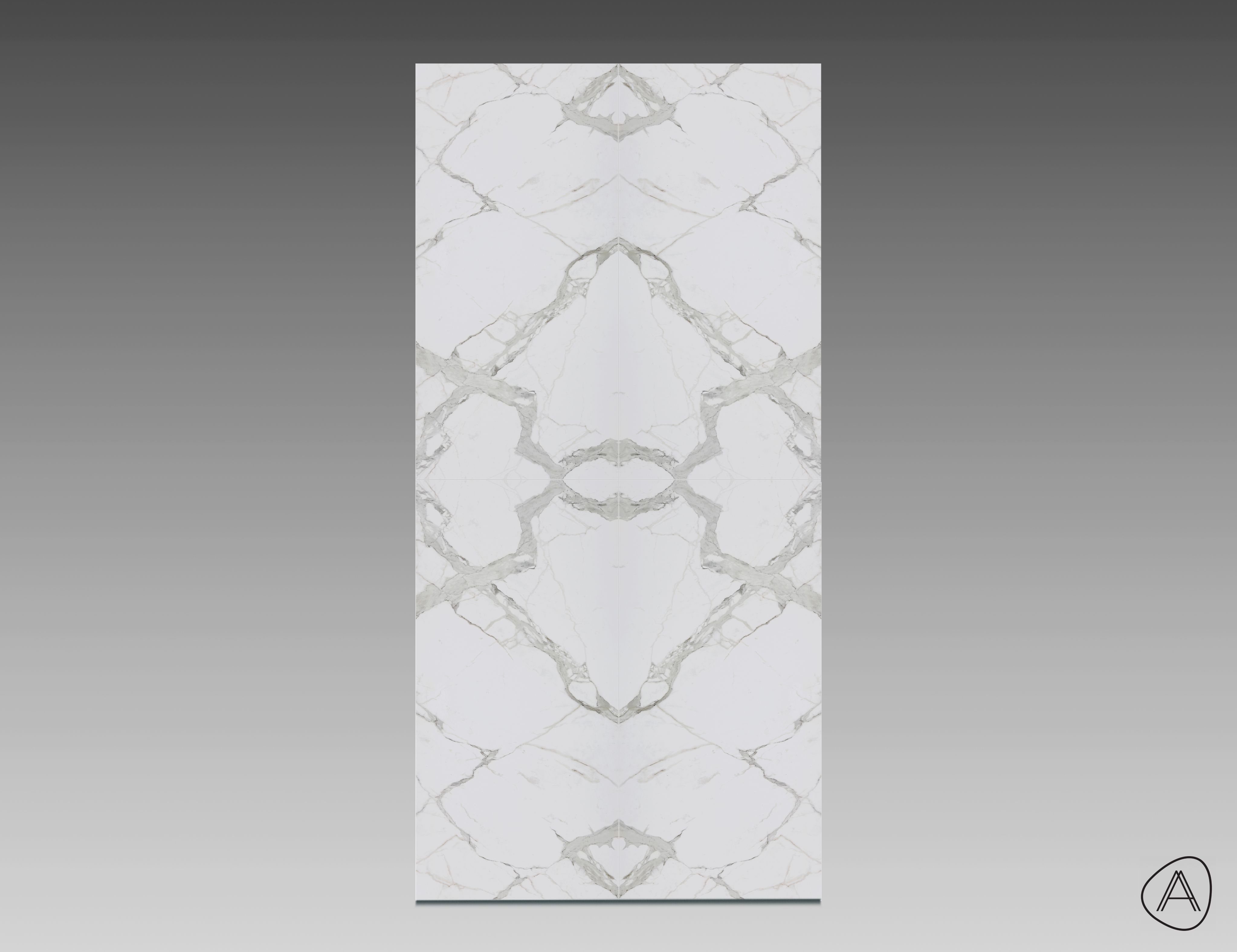 Calacatta OMG Tech Satin  T24   M+A   4L.jpg
